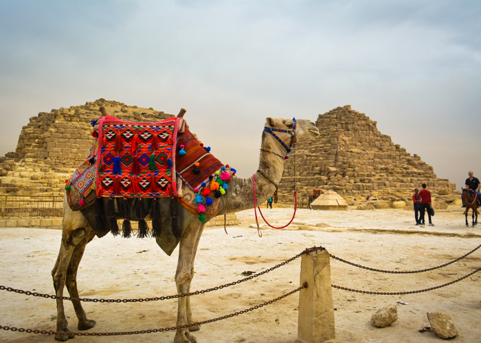 5 Days Private Cairo and Alexandria Tours Package