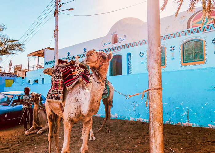 Day Trip to the Nubian village in Aswan