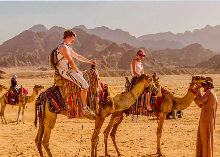 Sharm El Sheikh Quad Biking with Camel Ride