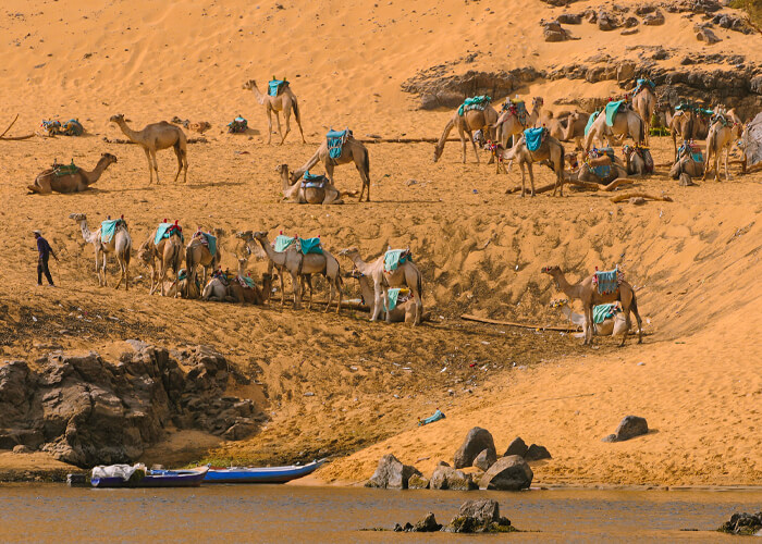 Private Day Tour to St Simeon Monastery in Aswan