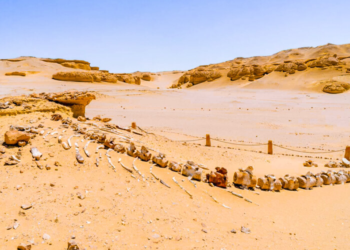 Private Day Tour to Fayoum Oasis from Cairo