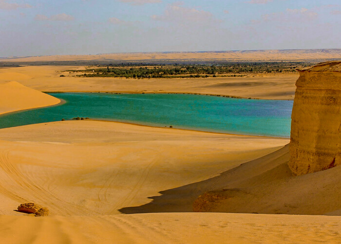 Private Day Tour to Fayoum Oasis from Cairo